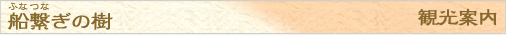 船繋ぎの樹
